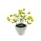 Assorted Micro Plant, 1pc. by Ashland®
